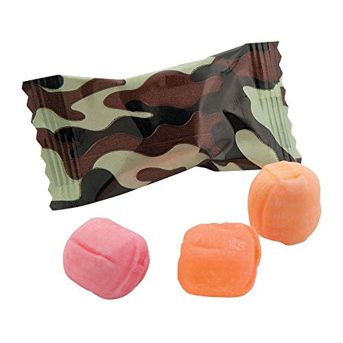 Camouflage Sweet Creams by Fun Express - Birthday - 108 Pieces