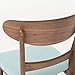 Christopher Knight Home Idalia Dining Chairs, 2-Pcs Set, Mint / Walnut Finish