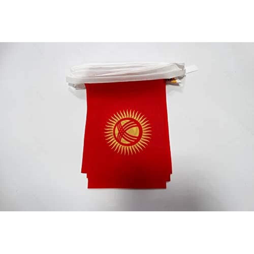 AZ FLAG Kyrgyzstan Bunting Flag, 20 Ft Garland with 20 Small Kyrgystani Flags 8'' x 6'', 100% Polyester String Pennant, 6 meters — image 1