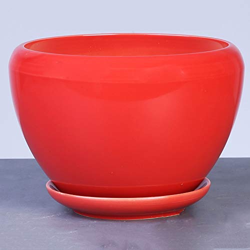 Pot de fleur en céramique YRYRYW pour sublimer votre balcon avec des orchidées et plantes