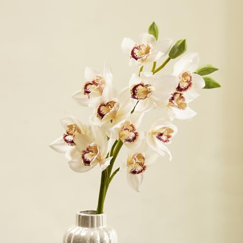 Image of PURE HOME + LIVING White Faux Boat Orchid Spray (Made of Plastic, Wire and Fabric) for Home, Office and Living Room Decorations (Without Vase)(Height-76cm) Pack of 1
