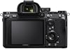 Sony 6