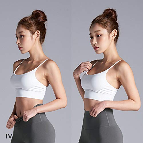 XEXYMIX ブラトップス XT8102E の商品画像 8