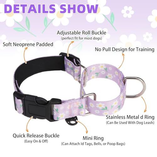 Image of Martingale Collar for Dogs for Small Medium Large Dogs, Soft Padded Nylon No Pull Dog Collar with Buckle, Adjustable No Slip Heavy Duty Durable Puppy Training Collar for Boys Girls, Purple M