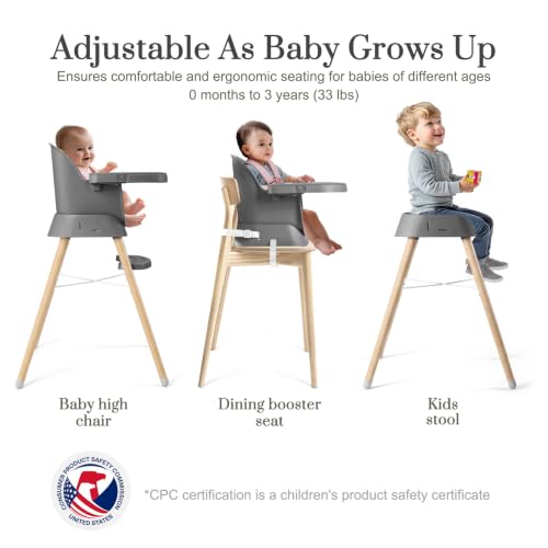 Image of Mallify 6 in 1 Convertible Baby High Chair with Removable Double Tray | Adjustable Infant Booster Seat, Steel Frame, Highchairs for Babies and Toddlers with 5-Point Harness, Easy to Clean & Install