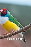 Cuaderno de notas Diamante de gould: Diario de composición con líneas. Cuaderno de Diamante de gould 100 páginas.