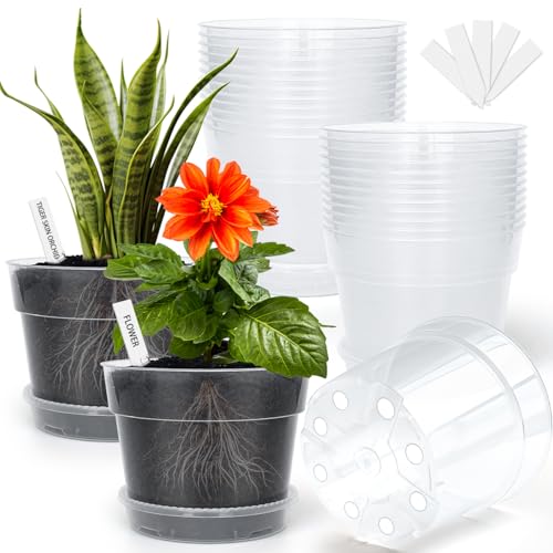 BTPLASTIK Clear Plastic Nursery Pots for Plants 6 Inch Transparent Plant Pot with Drainage Holes Flower Pots with Saucers Seed Starter Pots with 15 Pcs Plant Labels Gardening Gifts