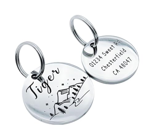 Stainless Steel Pet ID Tags, Personalized Dog Tags and Cat Tags, Engraved on Both Sides, Different Designs, Up to 4 Lines on the Back