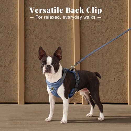 Image of Didog No Pull Dog Harness for Small Dogs, Classic PU Leather, Blue, S