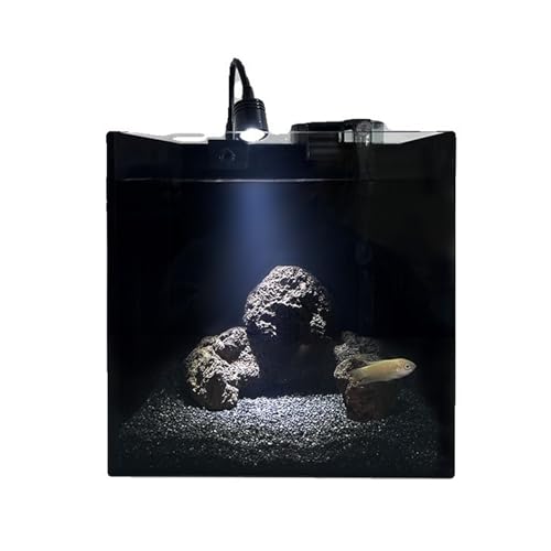 Maceteros para Pecera Acuario de Vidrio Cuadrado negroPequeño Acuario de Vidrio de una Pieza for Escritorio con Accesorios Decorativo