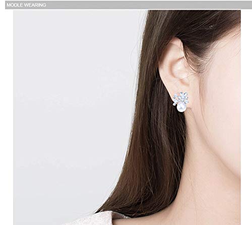 Boucles d'oreilles perles d'eau douce anti-allergie argent 925