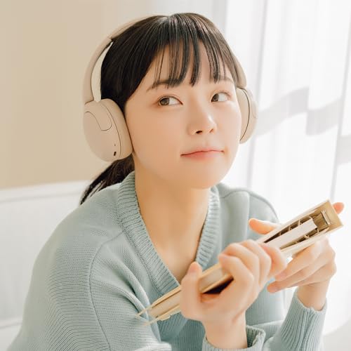 WH-CH520 商品画像24