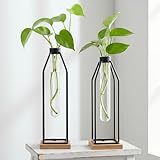 Houmury Test Tube Vase Set of 2, 11&12.5 Inch Flower Vases with Iron Stand & Wood Base, for Home Décor, Table Decor, Modern Farmhouse Decor, Hydroponic Plants
