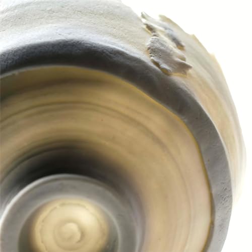 SIO-2 Cellulain High Fire Paper Porcelain Clay, 11 lb (Cone 6-8) Natural Modeling Pottery Clay for Wheel Throwing & Hand Building by SIO-2 - Image 6