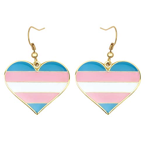 Progress Transgénero Rainbow Pansexual Asexual Bisexual Lesbianas Nonbinary Sun Set Lesbianas Colgantes Orejas Gay y Lesbianas LGBT Orgullo Regalos Rainbow Jewelry, Hierro