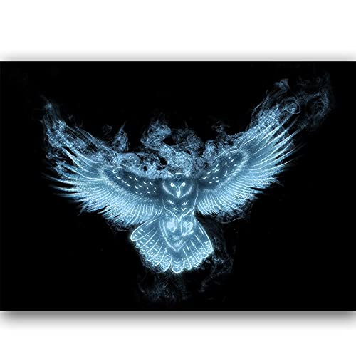 Kit de peinture au diamant hibou pour des moments de détente créative