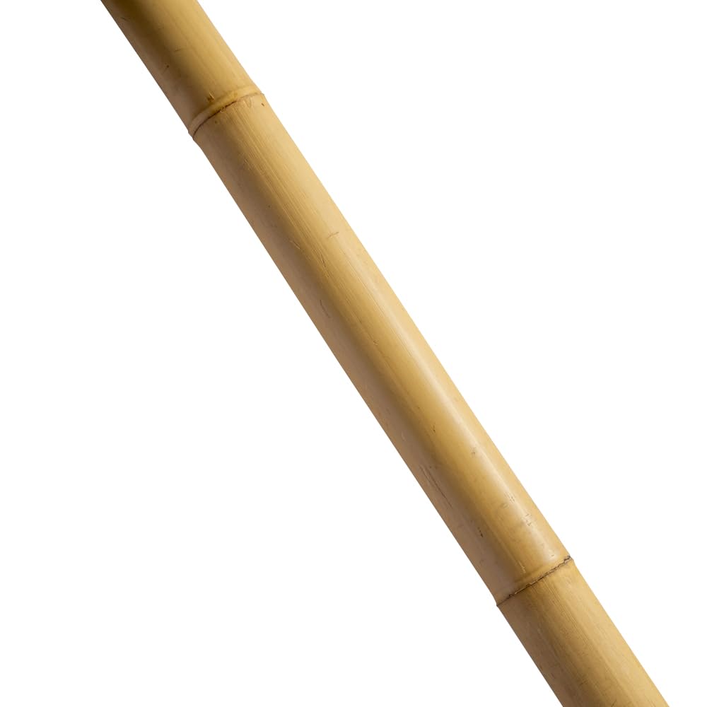 Amazon | トンキンケーン5本束 トンキン竹 トンキンバンブー バンブー