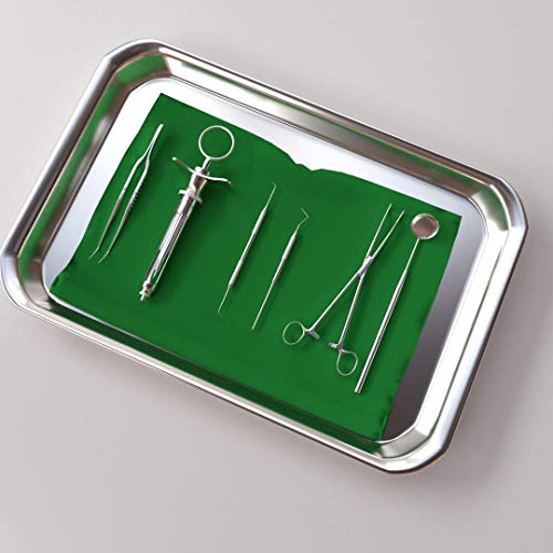 5-Pack Surgical Tray, Stainless Steel Medical Tray Dental Procedure Lab Instruments, Tattoo Tool Bathroom Organizer (10.43'' X 7.67'') #TOP2