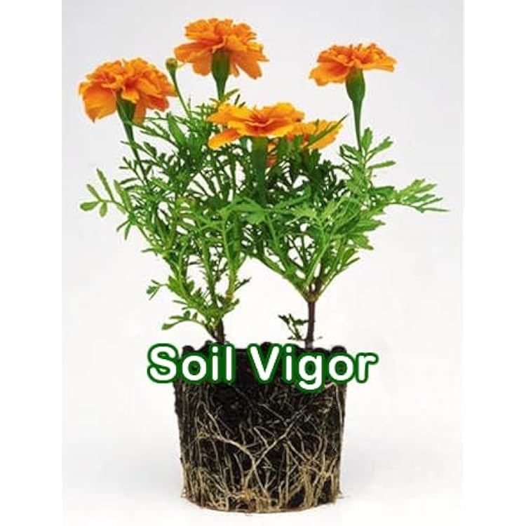 Potassium Polyacrylate Water Storing Crystals for Plants 20 Pounds