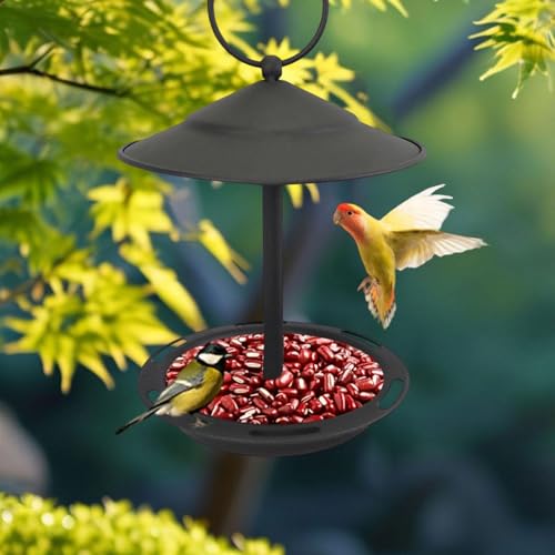 Bain d'oiseaux suspendu pour arbre protégeant des prédateurs