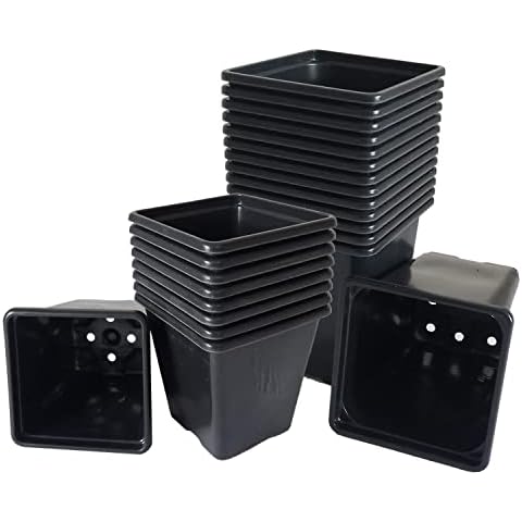 Elixir Gardens Square Plant Pot Set of 100 Cover