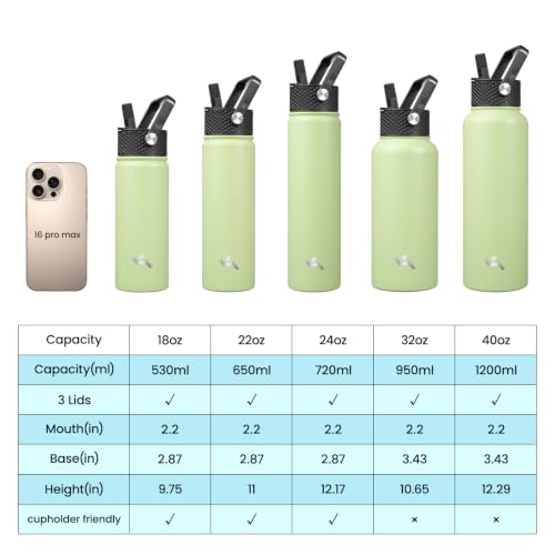 Image of Konokyo 18 oz Insulated Stainless Steel Water Bottle with Straw Lid