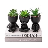HEYO-YEPY 3 plantas artificiales bonitas para decoración de oficina para mujeres y hombres, decoración estética de plantas de escritorio para oficina y hogar, plantas falsas pequeñas en maceta para