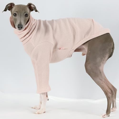 D DOGGY STAR C^O bt n  TVc ^ ^ ^ t  H doggystar z Vv  pW} (AvRbg, M)