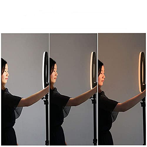 FACAZ Produkte Kamera Videobeleuchtung Kit 14 Zoll Live Fill Light LED Ringlicht Anker Handy Selfie Fotografie Schönheit… – Bild 5