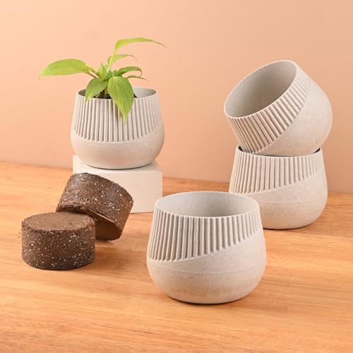 Image of Eha Earth Friendly Oreo 4 inch Small pots for Indoor Plants with 2 Growmix | Pack of 4 | Made with Bamboo Fibers|Table Top Planters for Home Decor and Office, Flower Pot for Living Room|Sand Castle