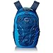 Osprey Packs Axis Backpack