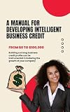 A MANUAL FOR DEVELOPING INTELLIGENT BUSINESS CREDIT (English Edition)