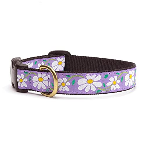Up Country Daisy Collar Wide, L
