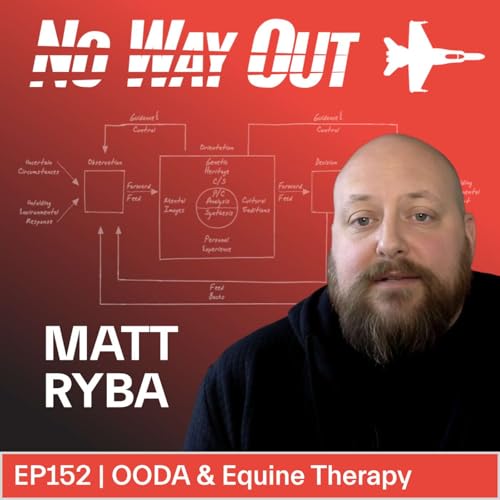 Breaking the Cycle: PTSD, Veterans, and the OODA Loop of Equine Therapy