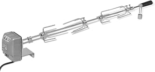 vidaXL Espetón para Asados y Barbacoa con Motor Acero 1000 mm Pincho Asador