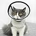 AFCJLTO Pet Cone Recovery,Halskrause Katze, Leichter Kunststoff Elisabethanischer Kragen,Geeignet für kleine bis mittelgroße Katzen mit einem Gewicht von 3 bis 5 kg (Halsumfang 22-26cm,L)