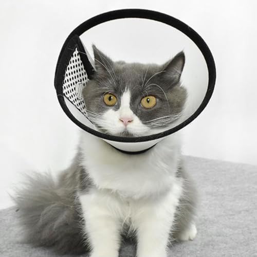 AFCJLTO Pet Cone Recovery,Halskrause Katze, Leichter Kunststoff Elisabethanischer Kragen,Geeignet für kleine bis mittelgroße Katzen mit einem Gewicht von 3 bis 5 kg (Halsumfang 22-26cm,L)