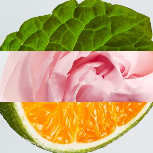 LACOSTE L.12.12 ROSE EDP 50ML