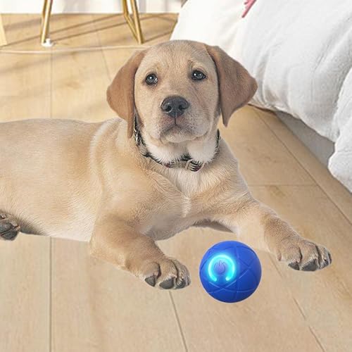 Jouet interactif pour chat en appartement : lot de 6 balles sautantes