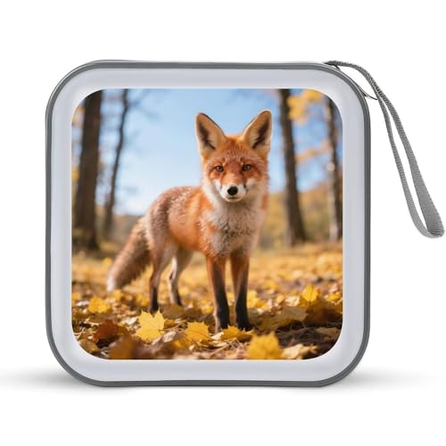 Étui de rangement CD et DVD 40 disques compact pour voiture et bureau
