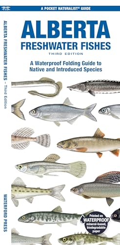 Alberta Freshwater Fishes: A Waterproof Folding Guide to All Known Native and Introduced Species