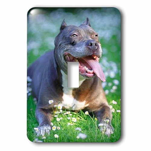 Pit Bull interrupteur 3dRose lsp_203751_1 avec impression multicolore durable - 2