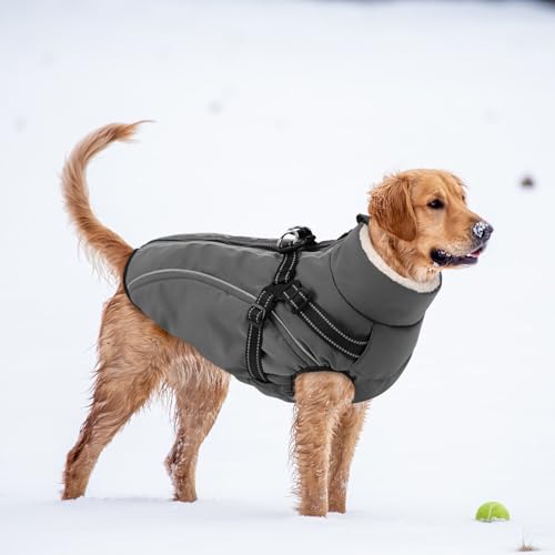 CITÉTOILE Hundemantel Hundejacke Warm Wintermantel mit Reißverschluss Winddichte & Winddichte mit Reflektorstreifen & Brustgurt für kleine Mittel Große Hunde Grau XS