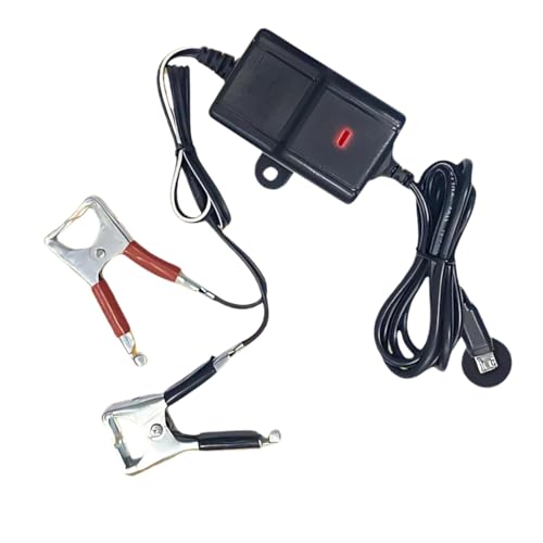 Drumstone (10 Years Warranty) 12V DC Battery Charger with USB ...