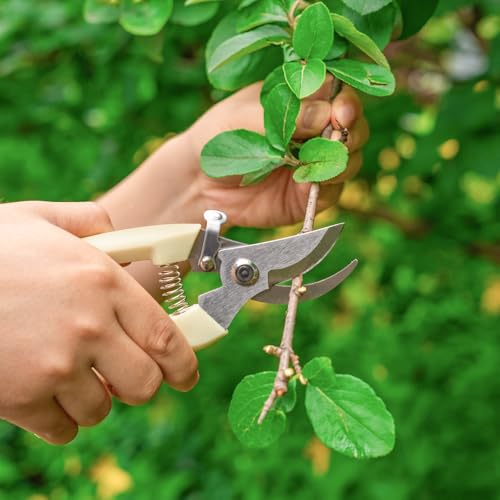 Tijeras para Jardín para Arbustos y Plantas miniatura 6