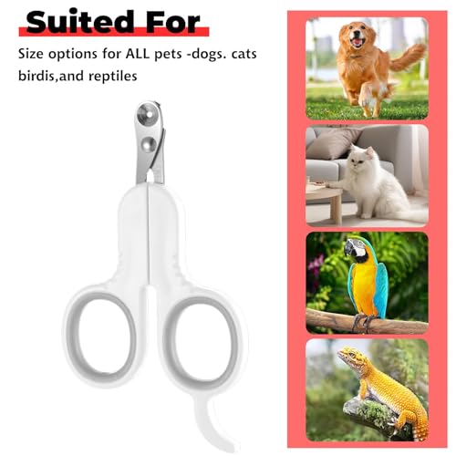 EnixwH 2 Cortauñas Gato Profesional Fabricado en Acero Inoxidable, Corta Uñas Gatitos, Corta Uñas Perritos, Pequeños Animales Tijeras Gatos Uñas para Gatos, Cachorros y Más Mascotas - imagen 6