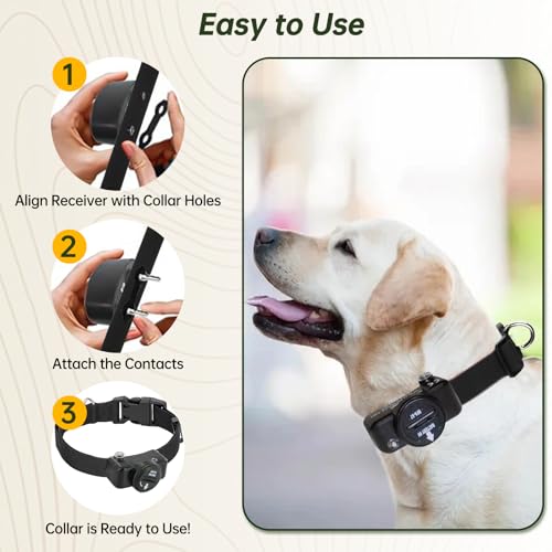 Nylon Replacement Strap for PetSafe Collar