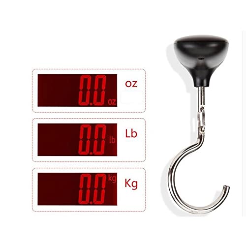 Échelle de bagages numériques avec graduation précise de 10g
