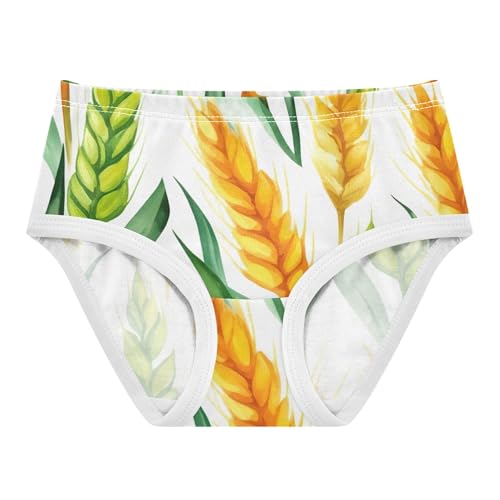 Watercolor Wheat Gold Green Leaves Panties for Girl Toddler Underwear Floral Cotton Fancy Briefs Undies Kids 2t