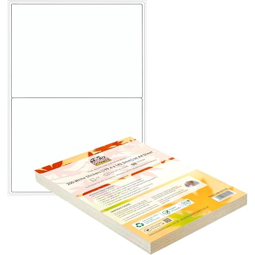 Double Dragon A4 Selbstklebende Adressetiketten, 2 pro Blatt, 100 Blätter, 200 Etiketten, 199,6 x 143,5 mm (200 Etiketten)